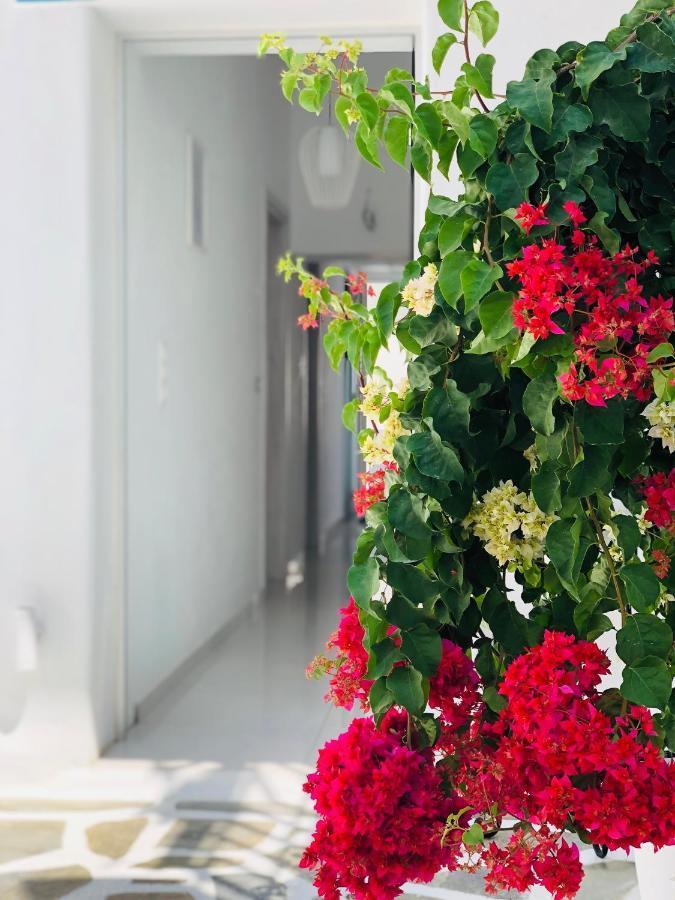 Taki'S Guests Bed & Breakfast Naxos City Екстериор снимка